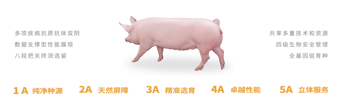 民望5A育種標(biāo)準